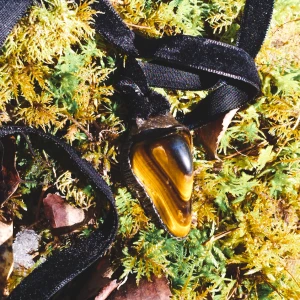 𝕾𝖆𝖙𝖚𝖗𝖓𝖚𝖘🪐 - Halsband med tigeröga & velvet band🌑 metall imitation ✨🌛 Frakt tillkommer ☺️✨