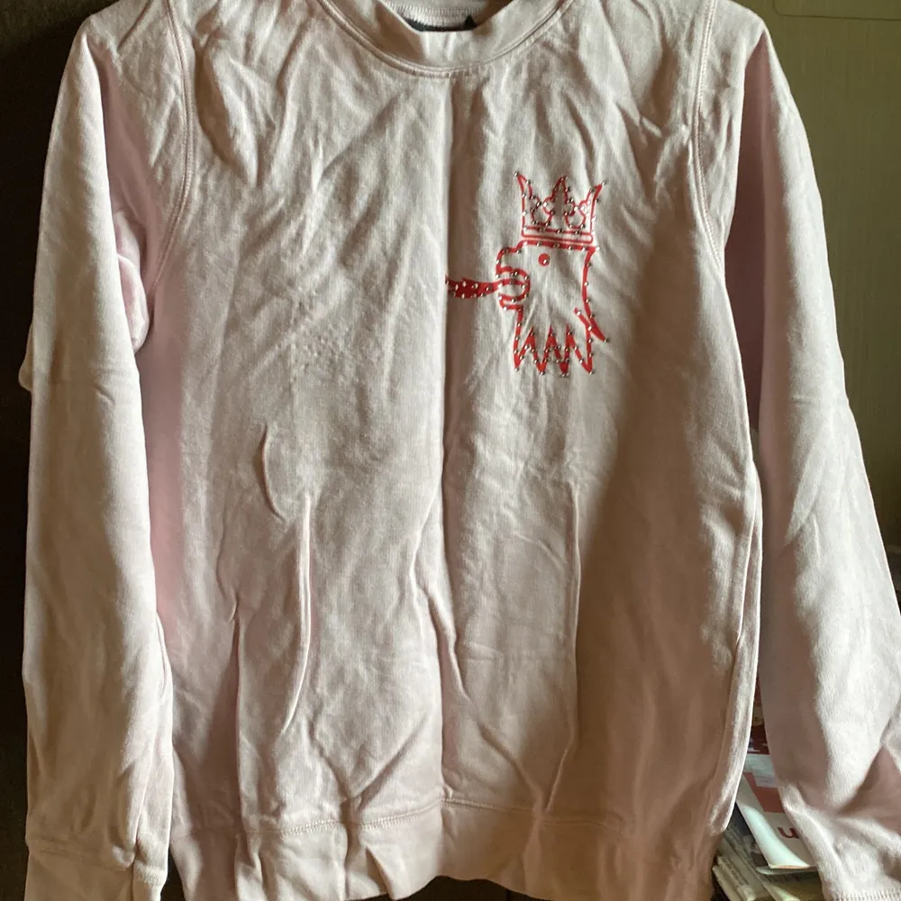 Rosa sweatshirt som mesta tiden legat i garderoben. St 160 och är som en small . Tröjor & Koftor.
