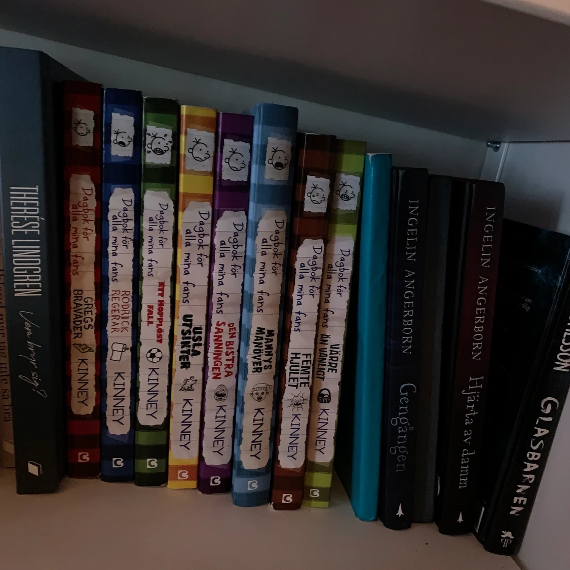 Dagbok för alla mina fans