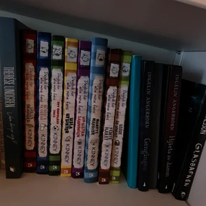 Dagbok för alla mina fans - 8 första böckerna Dagbok för alla mina fans. Alla förutom 6an är pocketböcker. 20 kr plus frakt för en och 100 för alla 8. Jag säljer andra böcker också. Kan hämtas i Borås  Ettan såld