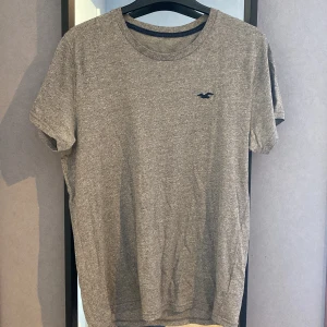 Hollistet T-shirt  - Inga fläckar, bra skick 