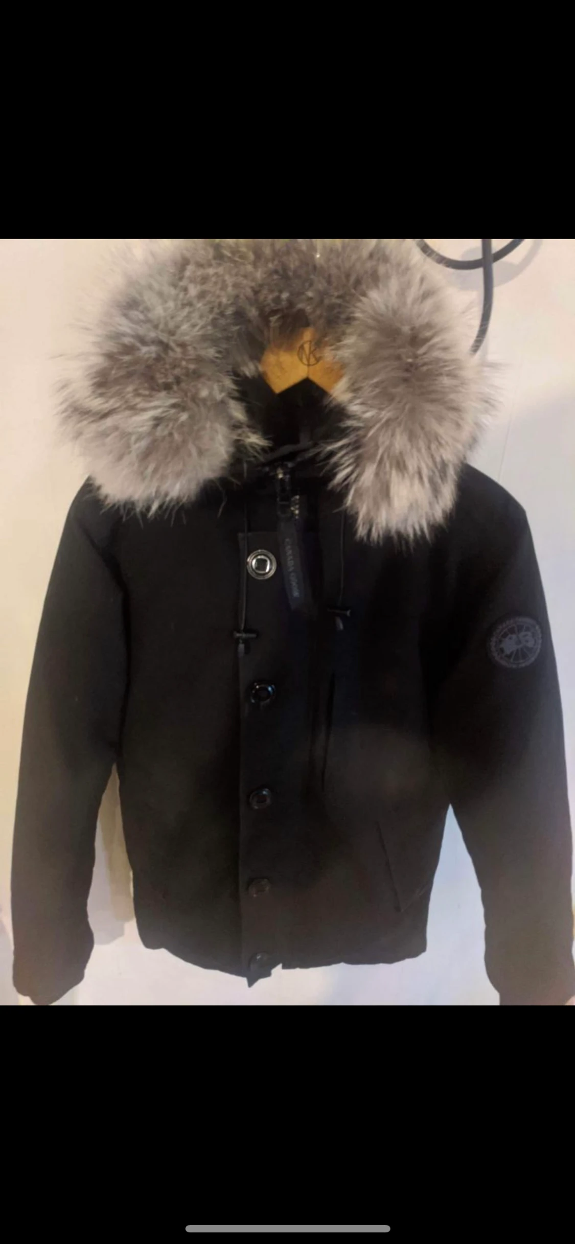 Canada goose  - 90