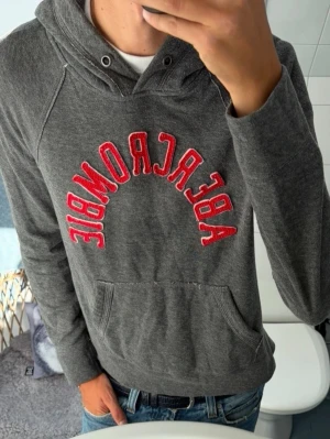 Abercrombie & Fitch Hoodie ~ Vintage - Vintage Abercrombie & Fitch Hoodie | Storlek: L sitter som S | Passform: Normal Fit | Färg: Grå | Sällsynt 2000s Modell | Skick: 9/10 Inga Defekter | Pris ej hugget i sten och kontrollera gärna mått! 🏄‍♂️ ☀️