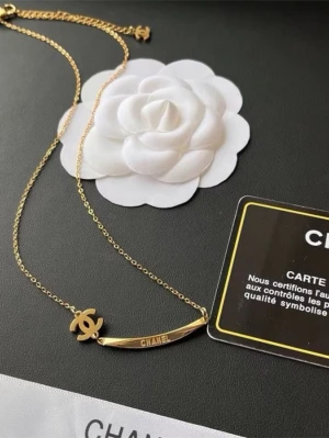 halsband - Helt nytt rostfritt CC halsband , cc kortet på bilden ingår också💛