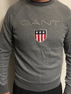 Grå sweatshirt från GANT - Använd men okej skick 