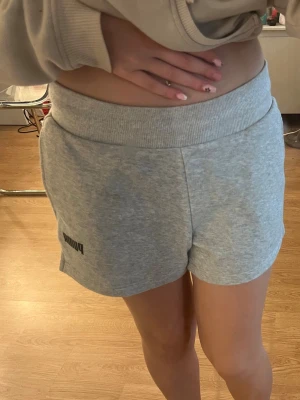 Gråa mjukisshorts  - Dom är i bra skick och är från Puma, dem är sköna att ha på sig säljer för används inte längre men dom är i bra skick och sitter snyggt