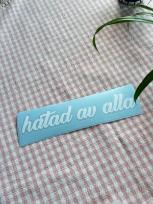 Vit dekal med text 'hatad av alla' - Säljer en vit dekal med texten 'hatad av alla' i snirkligt typsnitt. Dekalen är gjord av plast och har en blå bakgrundsfilm som tas bort vid applicering. Perfekt för att sätta på laptop, bil eller annan slät yta.