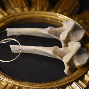 Örhängen ben - Örhängen med maffiga stora benkotor och silvriga eller guldiga hoops. De är inte alls tunga :) 