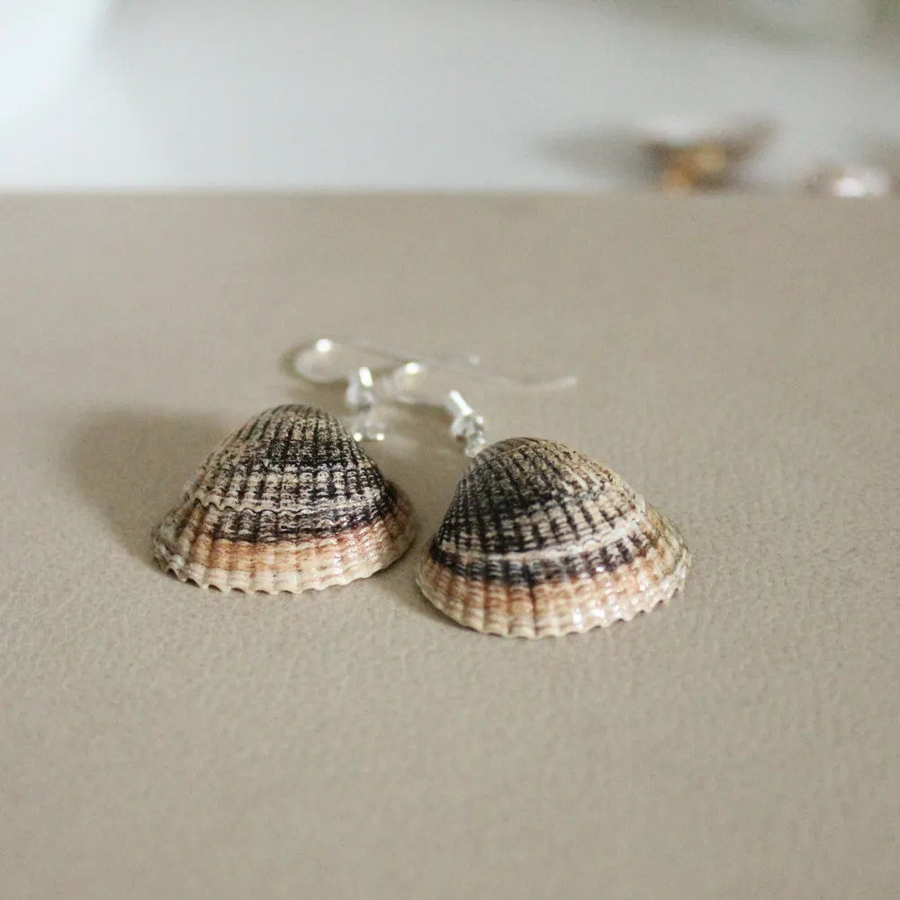 Finfina snäckörhängen som jag gjort själv!!🌷 Krokarna är nickelfria och självklart noga saniterade innan förpackning. De är även målade med nagellack för lite bättre hållbarhet!🤩 Frakt ingår i priset.. Asusteet.
