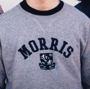 Morris Tröja - Jättebra skick, kan mötas i gbg eller frakta, Storlek M