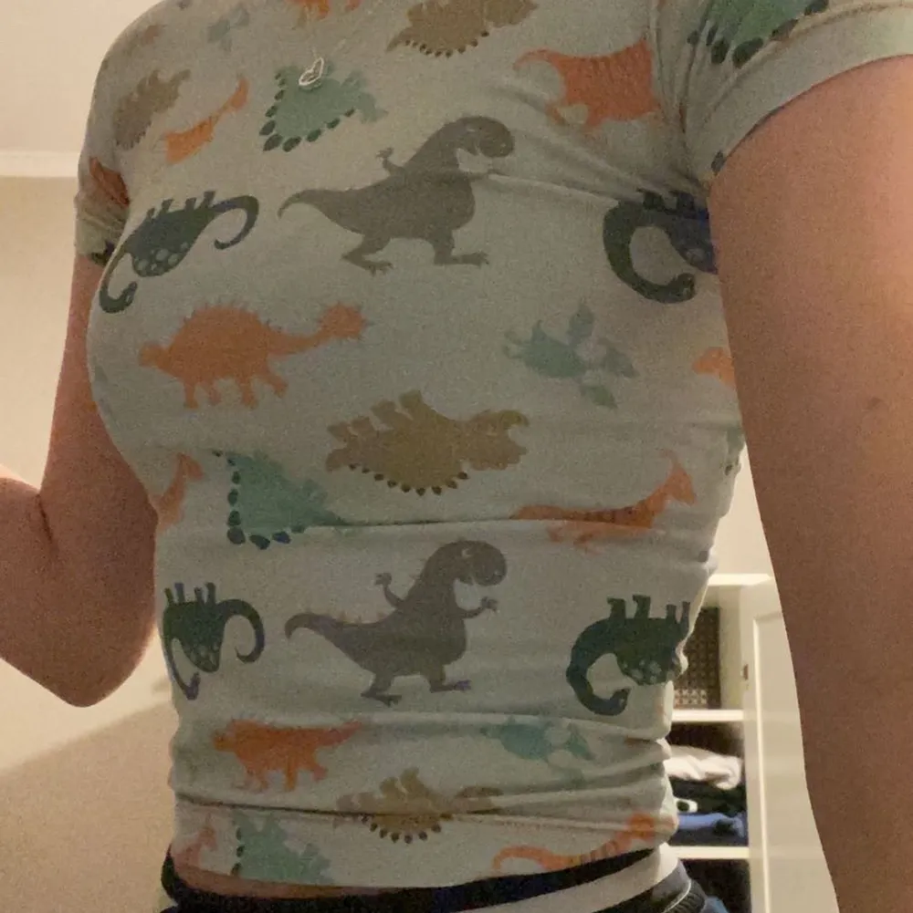 Säljer min älskade dinosaurie tröja eftersom att jag faktiskt inte använder den. Den är hemmasydd så det finns ingen riktig storlek men den är ju sydd för barn så den är liten men den funkar ändå på mig. Skriv om du vill ha fler bilder eller om du har någon fråga! Vill helst mötas upp i Linköping men går inte det står köparen för frakt :). T-shirts.