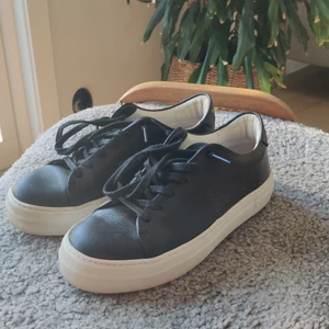 Sneaky Steve - Säljes p.g.a. att det ej kommer till användning längre. Endast använda ett fåtal gånger på evenemang. Bra skick. Fraktas men köparen står för fraktkostnad. Ingen box. Nypris 1300 sek. 