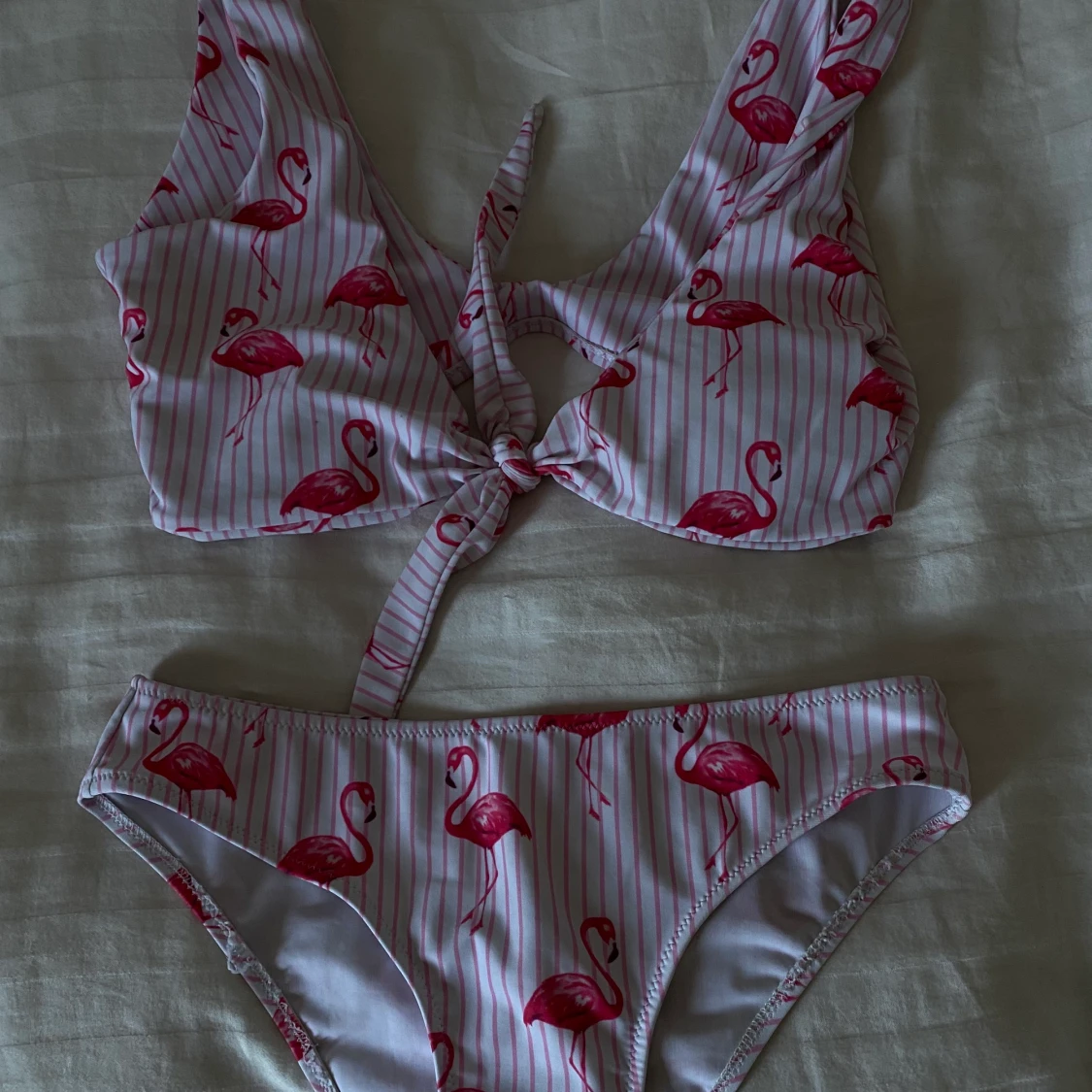 Flamingobikini