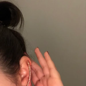 Accessoar för öronen  - En accessoar som jag har fått i present för nåt år sen men aldrig använt. Helt nytt och guld färgat, köpt på glitter. Pris och frakt kan diskuteras i dm! 