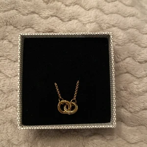 Smycken/halsband  - Ett halsband för 60kr ordinarie pris var 179kr💕 bra skick har använt halsbandet 3 gånger säljer på grund att det är inte min stil✨💕 köpare betalar frakt❤️