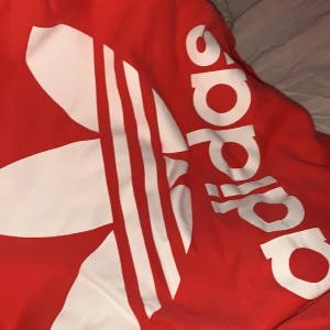 Adidas hoodie - Adidas hoodie använd ett fåtal gånger. Bra skicka. Storlek UK 38. Djur finns i hemmet. 
