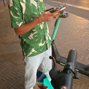 Skjorta  - Skjorta från Zara med grönt mönster. Slutsåld på hemsidan.