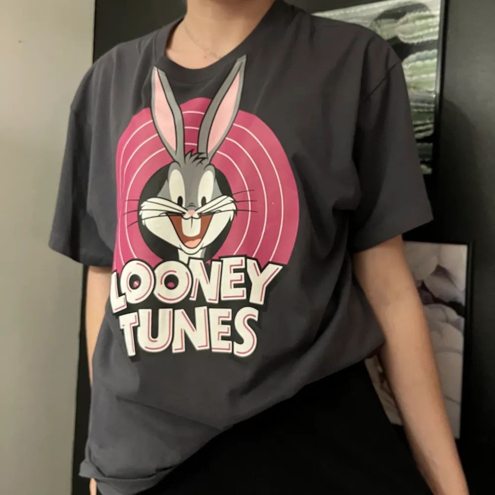 En looney tunes t-shirt från Hm ✨ Endast använd ett fåtal gånger :) Fralt tillkommer!. T-shirts.