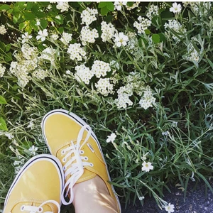 Gula vans - Säljer dem här gula vansen pga att dem inte används. Väldigt bra skick bara lite dammiga som man kan se på sista bilden