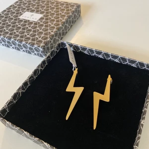 Örhängen från Edblad - Säljer dessa coola blixt-örhängen från Edblad! Aldrig använda, prislapp och ask finns! Vet ej orginal priset men säljer för 90kr, köparen står för frakten!