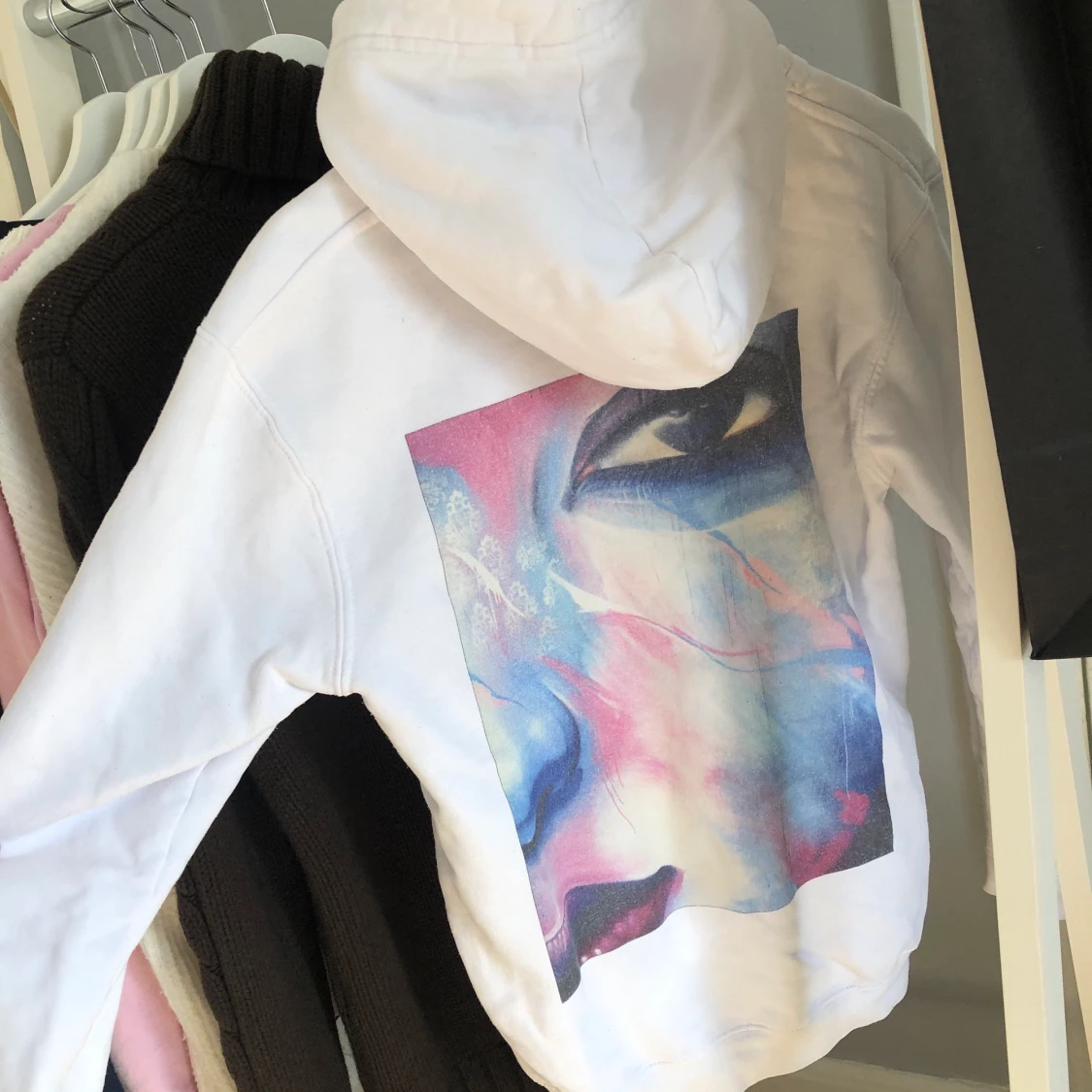 Curious The cool elephant