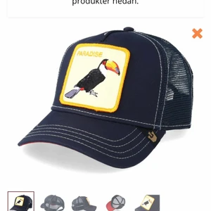 Goorin brons keps - Säljer min jättefina goorin brons keps som är helt slutsåld💕den är köpt för 399 och säljer den gör 285 kronor💕den är knappt använd och är i väldigt bra skick😁kan även diskutera priset❤️