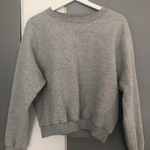 Grå sweatshirt - Jätte mysig grå tröja från champion i bra skick, köpt i en vintage butik i Schweiz. Vid intresse eller frågor om plagget kontakta mig privat:)