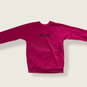Alaska vintage sweatshirt  - Skick 7/10 dock har den något form av svart streck över magen, men man ser det inte så tydligt.                    Storlek M men är mer som S.