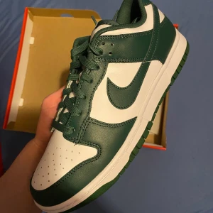 Dunk low Michigan state - Dunk low Michigan state, storlek 42 us8,5, helt nya, pris 3400kr fraktat🤝