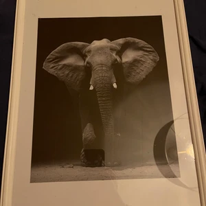 Tavla  - Tavla säljes. 