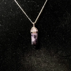 Halsband, chariot - Halsband i rostfritt stål med berlock i chariot💜 Fri frakt✨