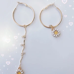 Örhängen  - 75:- plus frakt 40:-