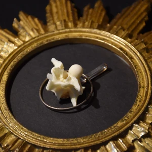 Halsband ben - Halsband med ett hänge av äkta orm ryggkota. Band medföljer. 