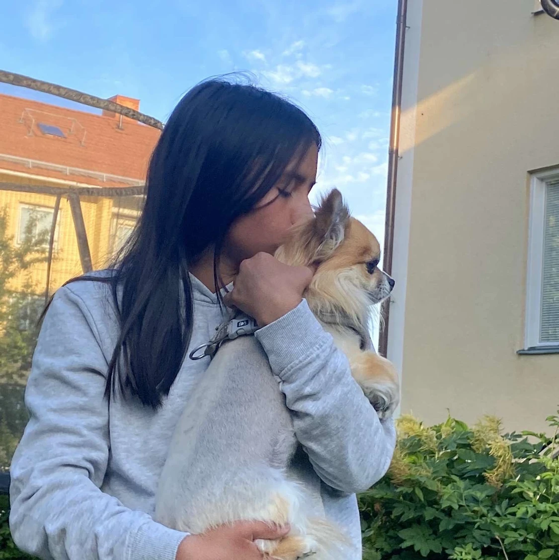 Grey sweatshirt and pants - 91