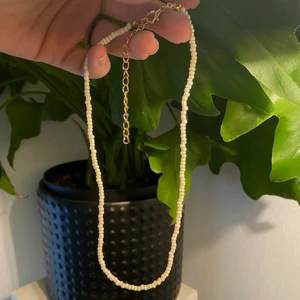Vitt pårlhalsband - Vitt pärlhalsband med guldig kedja. 25kr+12kr frakt✨Jag kan skicka flera i samma paket😆