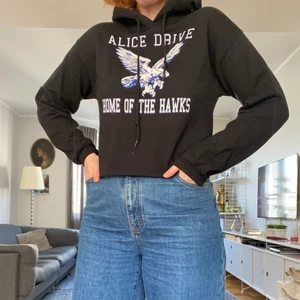 Hoddie - En svart kort hoddie, köpt på Beyonce retro. Aldrig använd. Kan mötas upp eller leverans (frakt ingår inte)