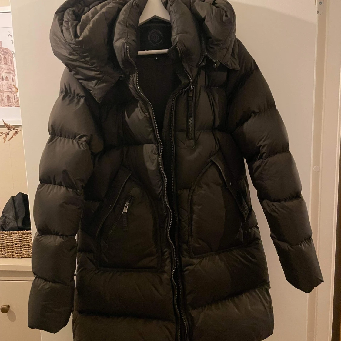 Cedrico dunjacka  - 91