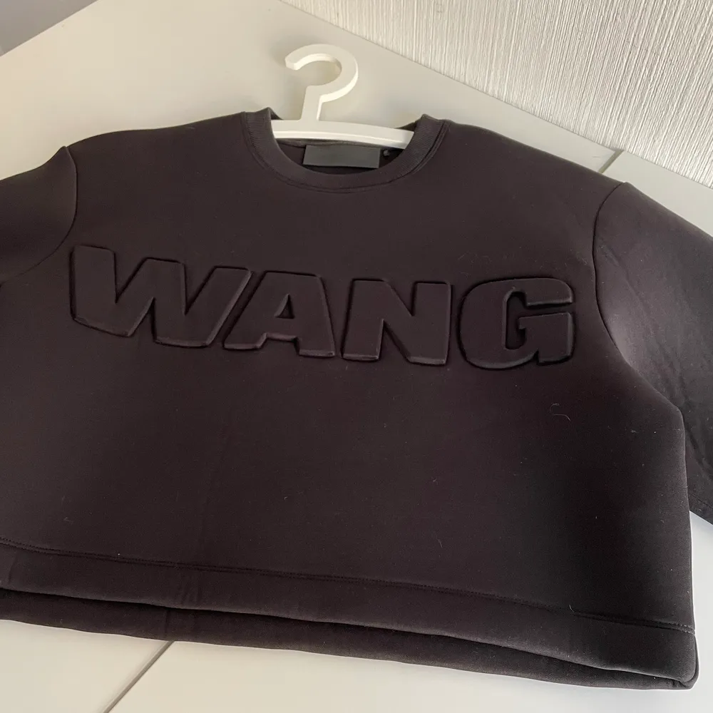 Denna fantastiska croppade swearshirt i scubamaterial från Wang x H&M-kollektionen 2014 säljes i nästan perfekt skick. Den har hängt i stort sett oanvänd sedan inköp pga fel storlek och har endast småveck som troligtvis försvinner om den får hänga ensam eller steamas! Frakt tillkommer 🌸. Hoodies.