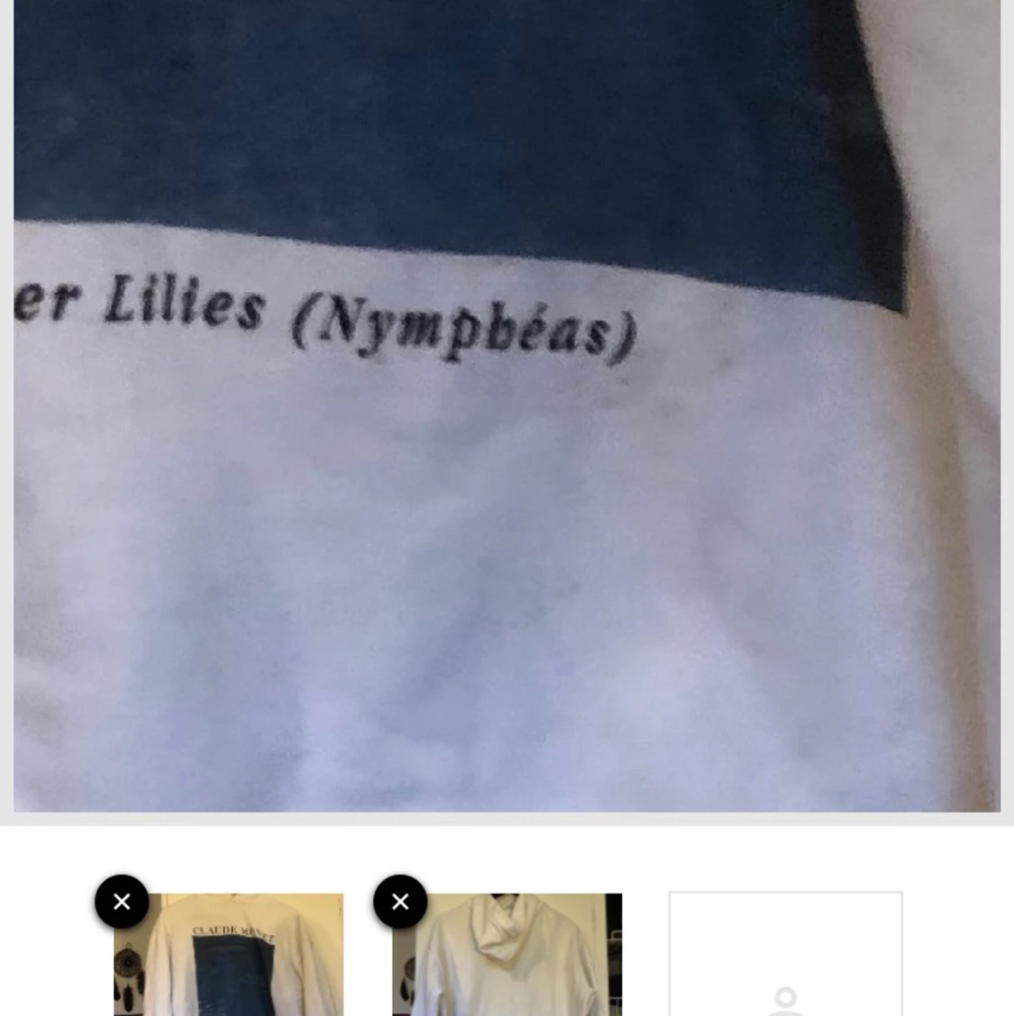 Claude monet hoodie - 91