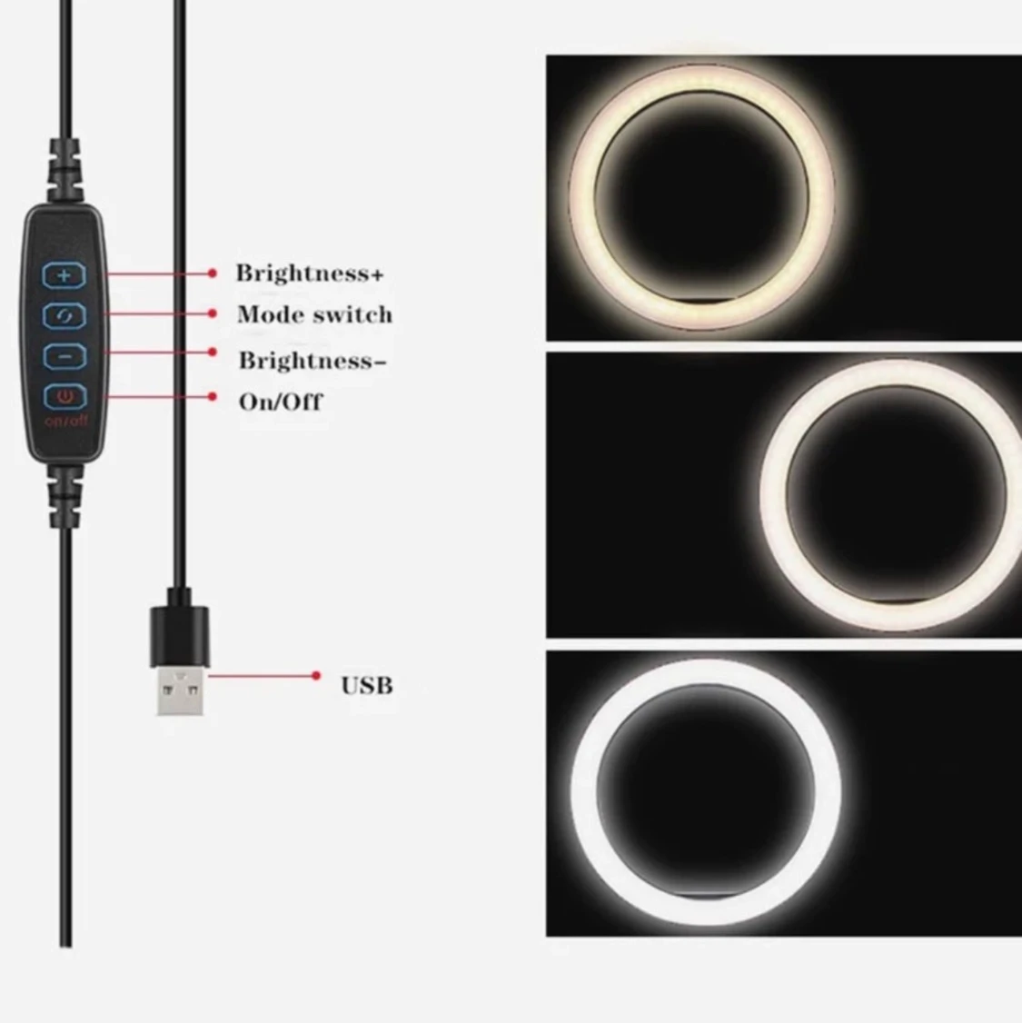 Ring Lampa / Ring lights - 91