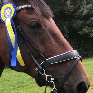 Träns  - Fint träns, sparsamt användt