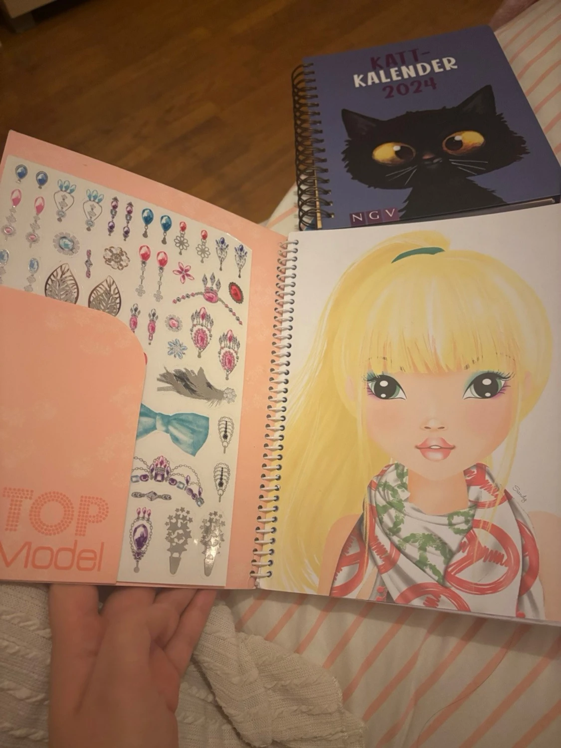 Kattkalender 2024 - 6