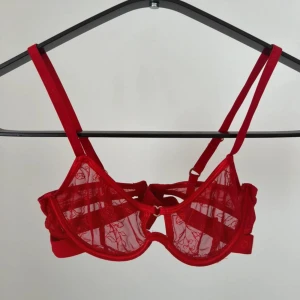 Röd Lounge BH - Supergullig röd mesh bh från Lounge, storlek 65C. Söta små hjärtan som detaljer. Tror att den eventuellt kan ha blivit tvättad lite för varmt då den blivit lite wonky när den ej sitter på. Fint skick i övrigt <3
