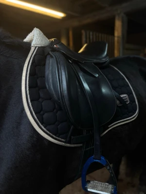 Svart sadel Robin Hood Elite - Allround mot hopp, 16” legat på en lite grövre angloarab men lite för liten uppe vid manken på mitt kallblod tyvärr då den är så skön🙏 fint skick!