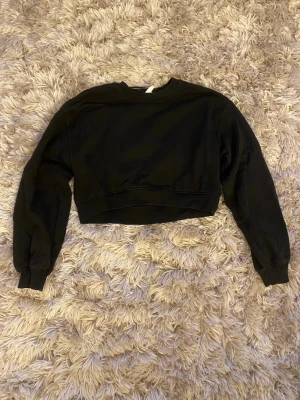 Svart sweatshirt H&M Basic - Svart croppad sweatshirt från H&M Basic i storlek S. Magtröja