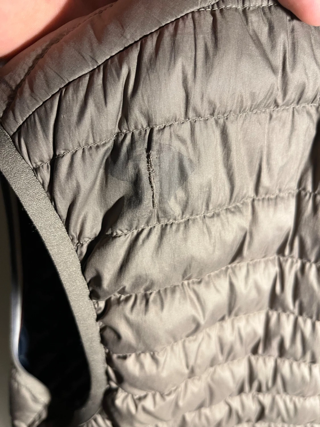 SÄLLSYNT Colmar väst - 6