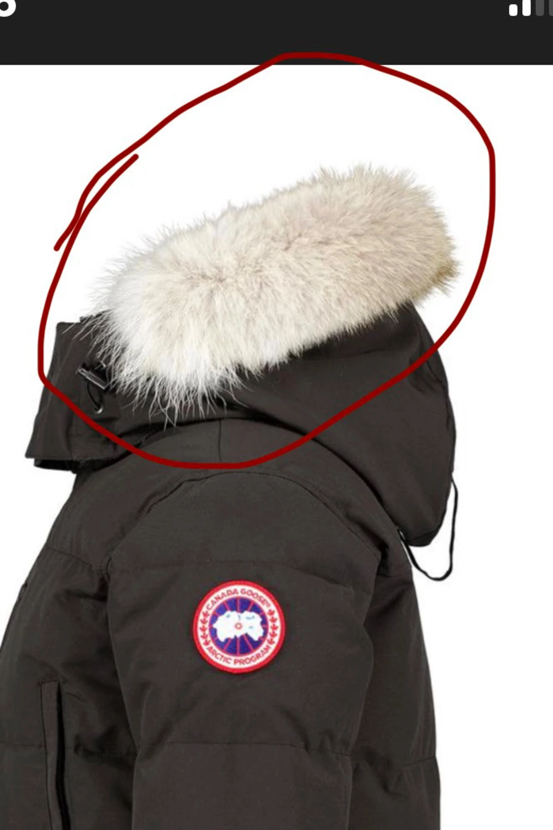 SÖKER PÄLSEN till min Canada Goose