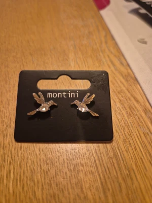 Hummingbird örhängen  - Hummingbird örhängen som ger tur för alla individer med ett bra hjärta. HELT NYA