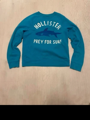 Hollister College - Model height 175cm