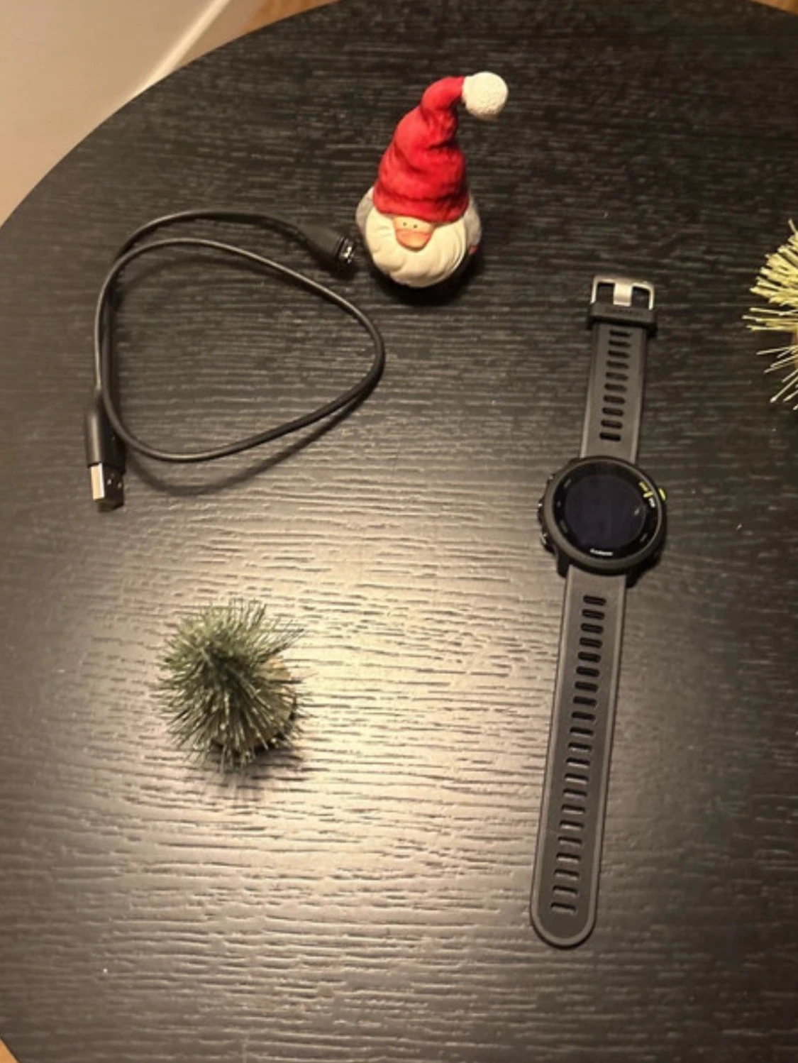 Garmin Forerunner 55 - 3